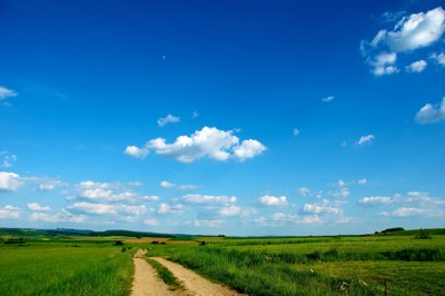 Walking under the moon_4647365262_l.jpg